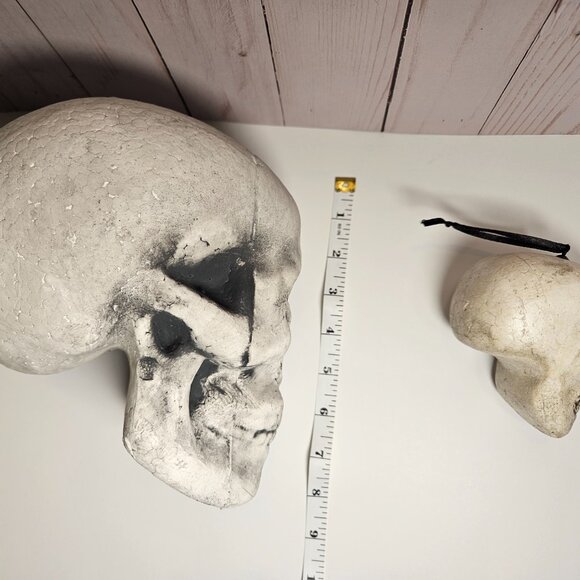 2 Skulls and set of 4 Mini Skeletons - Picture 4 of 4